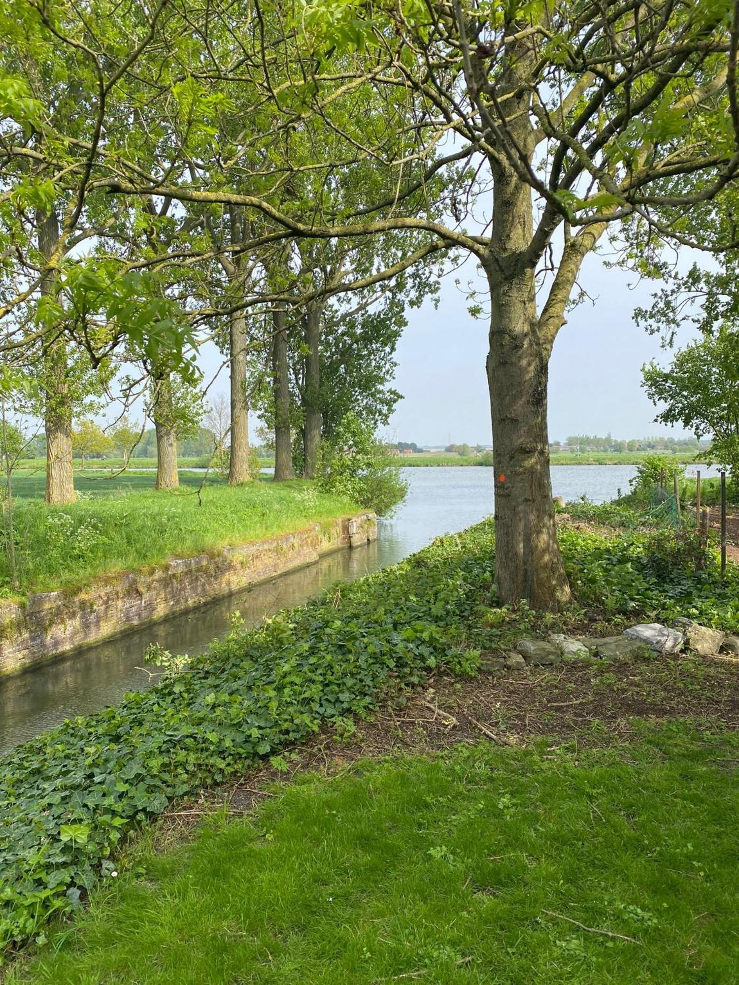 Huisje aan de Schelde Spiere Buitenkant foto